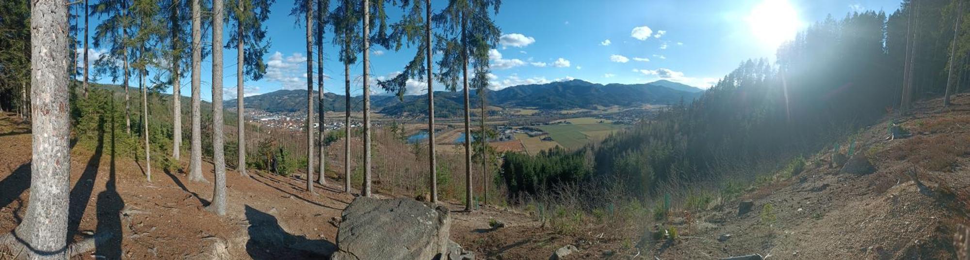 Herzogberghof Kindberg エクステリア 写真
