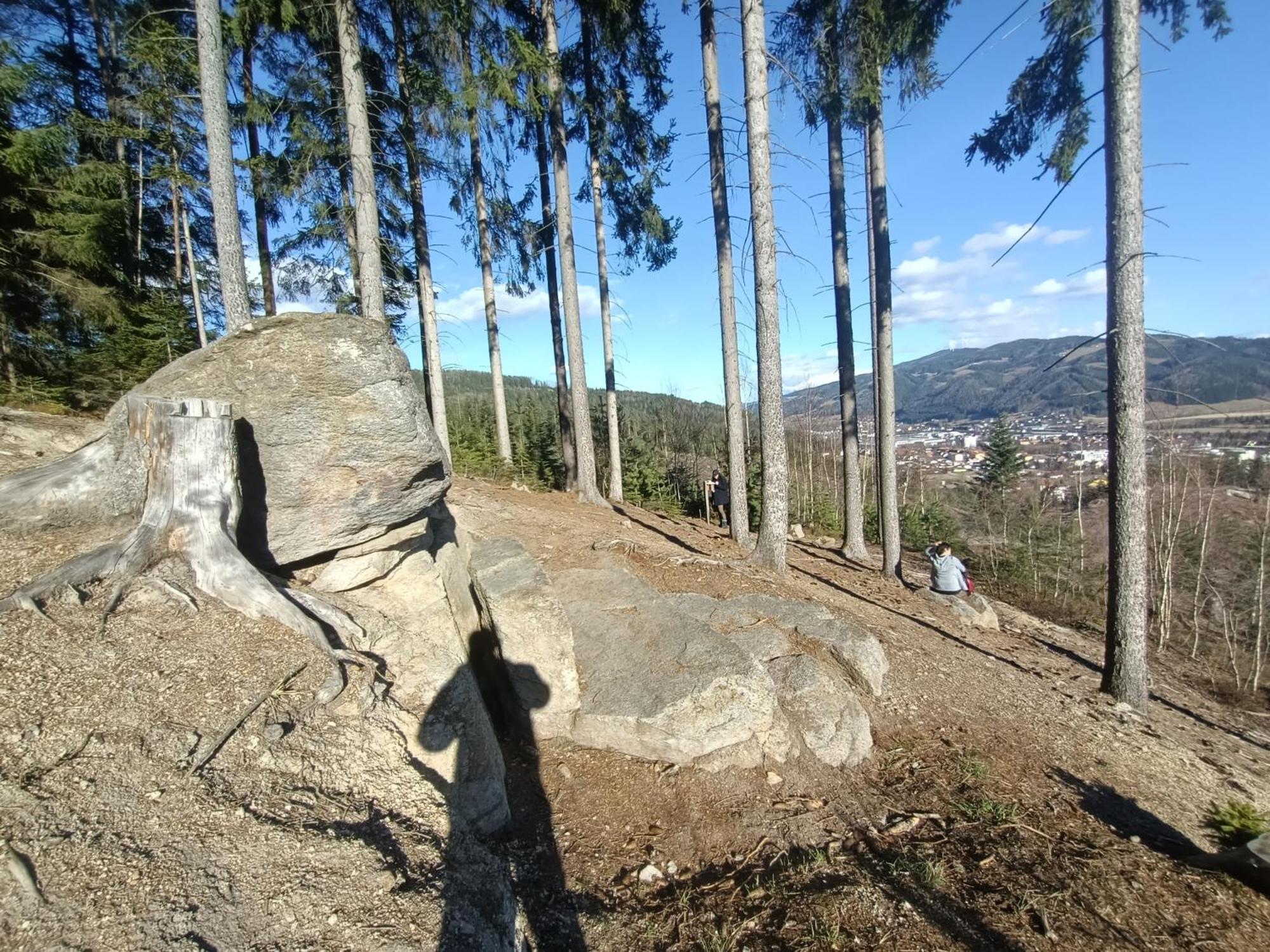 Herzogberghof Kindberg エクステリア 写真